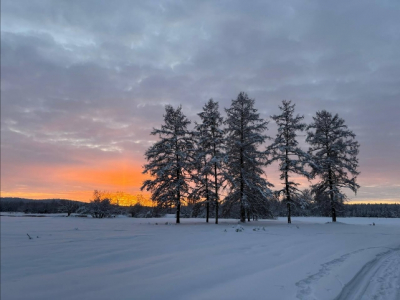 Каток на ВДНХ: лед под тонким слоем пиара