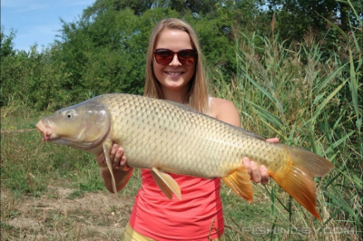 Теневая сторона экологической инициативы на Иваньковском водохранилище: как зарыбление может навредить экосистеме