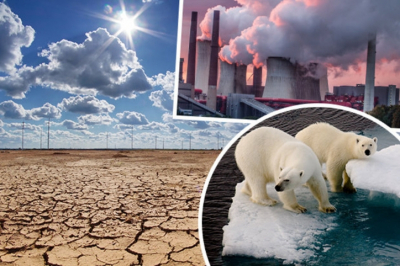 2024: Самый жаркий год в истории метеонаблюдений как это повлияет на будущее?